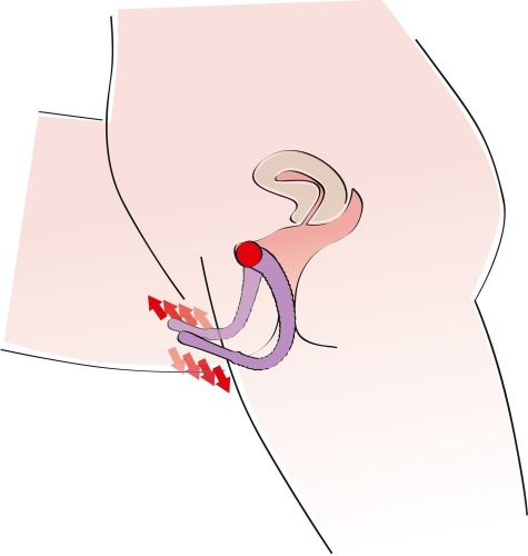 Buttplugs, Dildo's & Sextoys