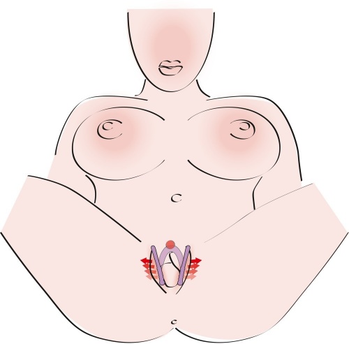 Dildos, Buttplugs & Sextoys