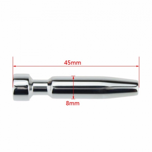Penis plug