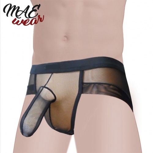 mae-cl-081 y1812