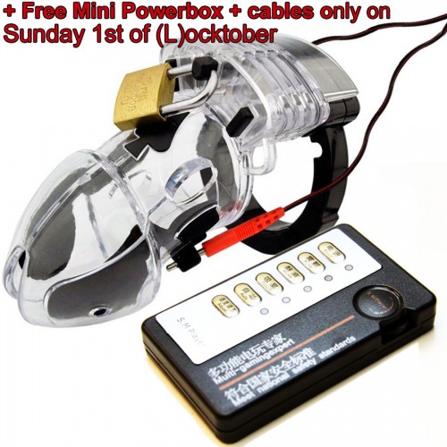 FM Electrosex bi-polaire E-stim Kuisheidskooi
