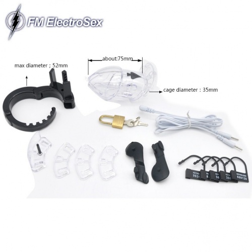 Elektrosex Stimulation