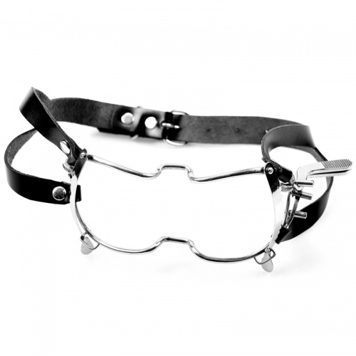 Whitehead Metalen Gag met Strap - 112-tms-2556-w.s.