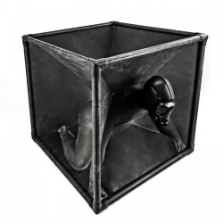 Latex Vacuum Cube by Rubber Shock - rs-cube