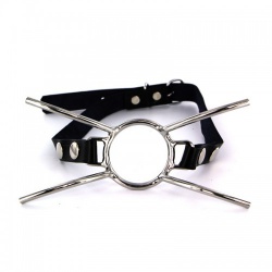 Steel Spider Gag by Kiotos Steel - opr-112-tms-2552