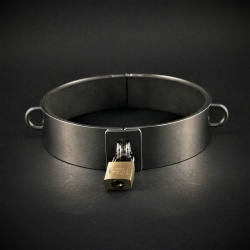 Edelstalen Halsband met D-ringen van Lust & Liebe - ll-2100100