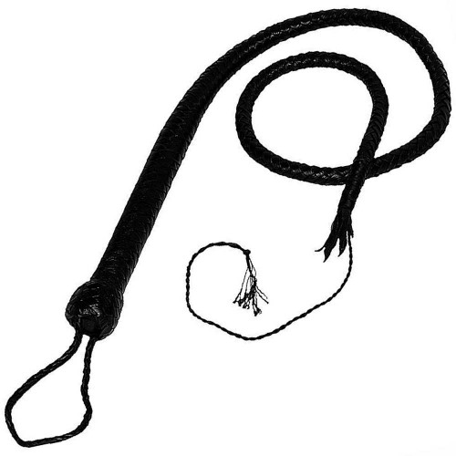 Lederen Bullwhip