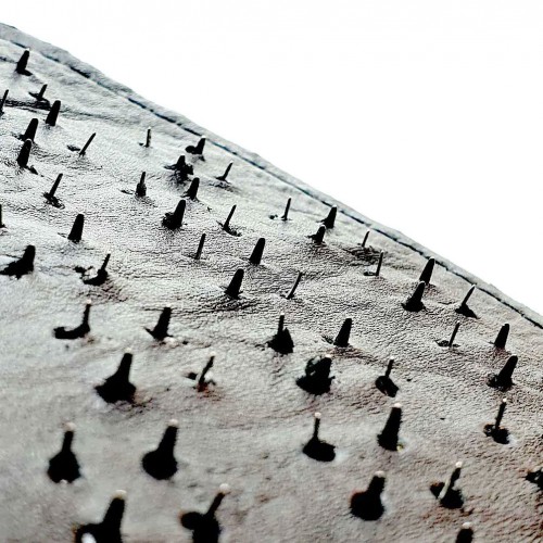 Weekaanbieding & Sales