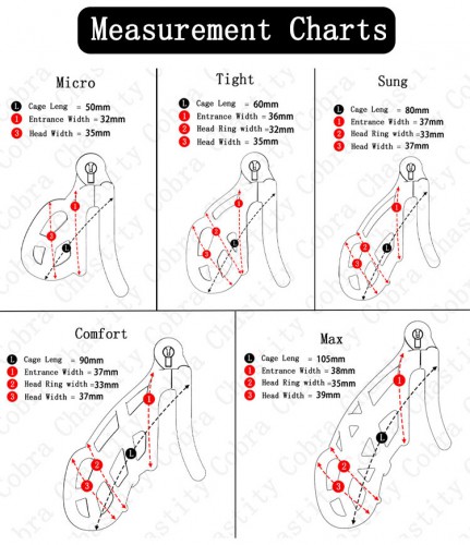 cb-cmicro-2b 1985001722695646