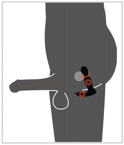 or-54022550000 4024144356621