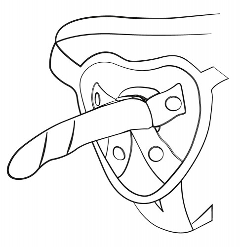 Buttplugs, Dildos and Sextoys