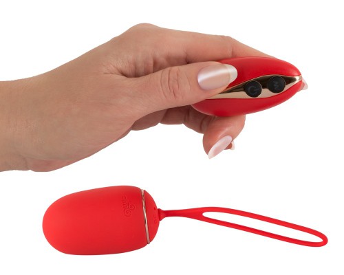 Weekaanbieding & Sales