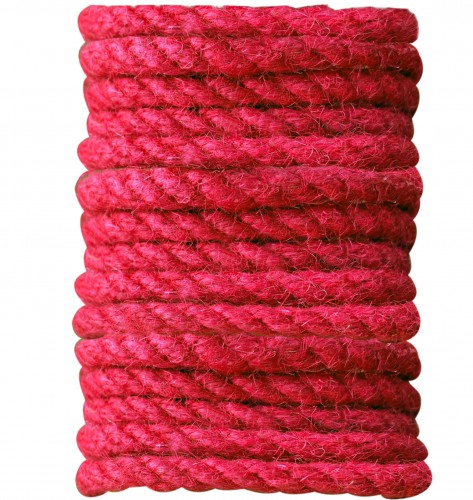 Weekaanbieding & Sales