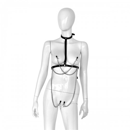 Leather Collar Chest with 4 Clamps - opr-134-kio-0347