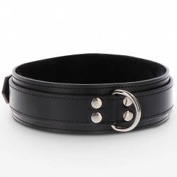 Heavy D-Ring Collar - sc-17103