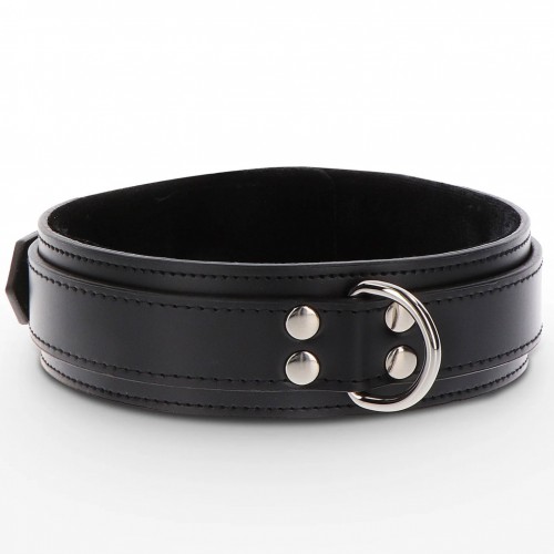 Heavy D-Ring Collar - sc-17103