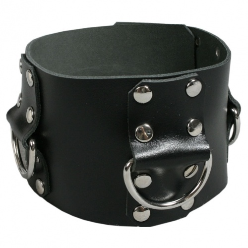 Lederen Halsband 410 - le-410-blk