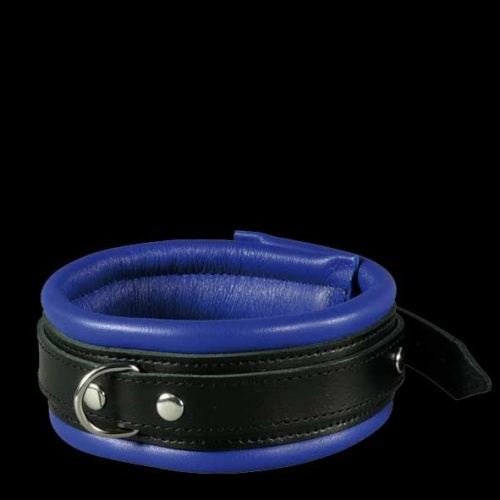 Leder, Stahl & Latex Kragen