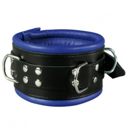 Luxury Black-Blue padded Leather Collar - os-0102-1b