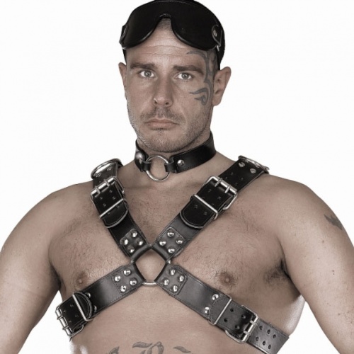 Herren Leder Brust Harness von Ledapol #8034 - le-8034