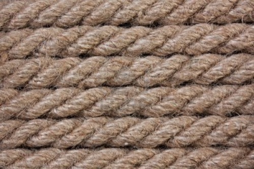 Weekaanbieding & Sales